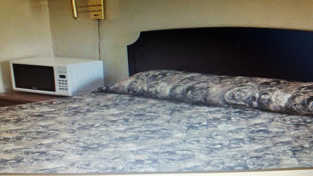 Relax Inn Montour Falls 외부 사진